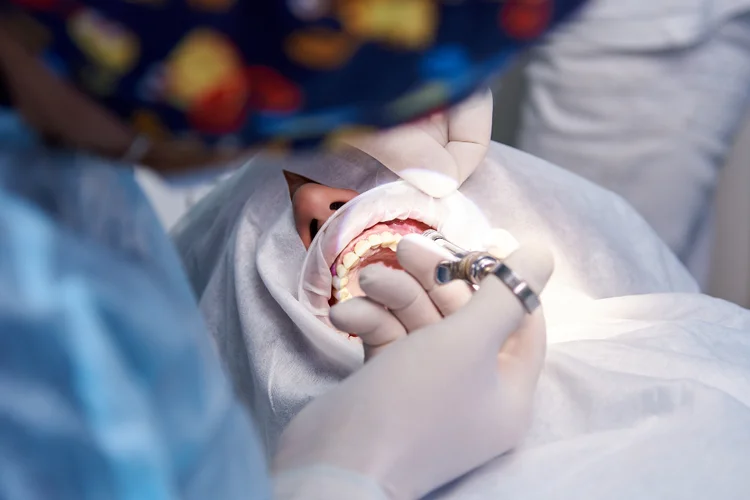 Dentist performing a dental bone graft procedure on a patient using specialised tools to place bone graft material and prepare the jaw for dental implant integration.